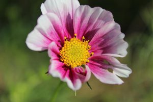 IMG_4814