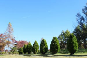 IMG_5220
