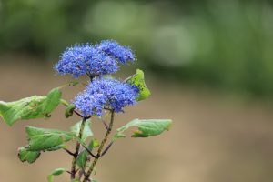 IMG_6914