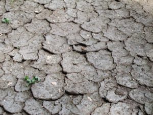 水分不足肌2