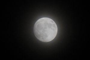 2016-11-13月