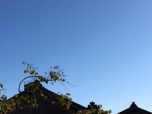 秋の空