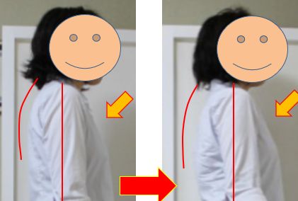 背の変化の様子